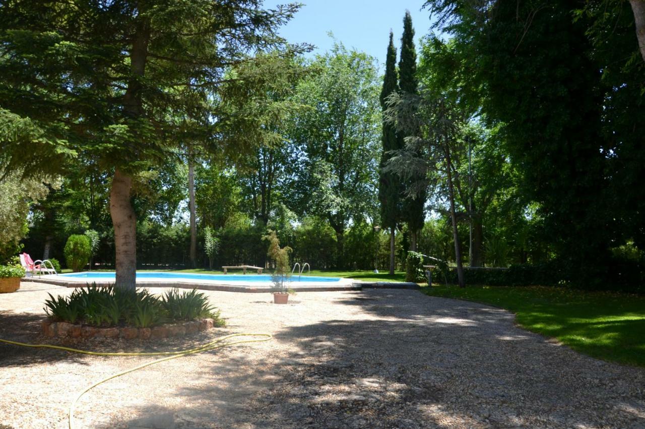 Rural En La Mancha Con Jardin Y Piscina Privados Tomelloso